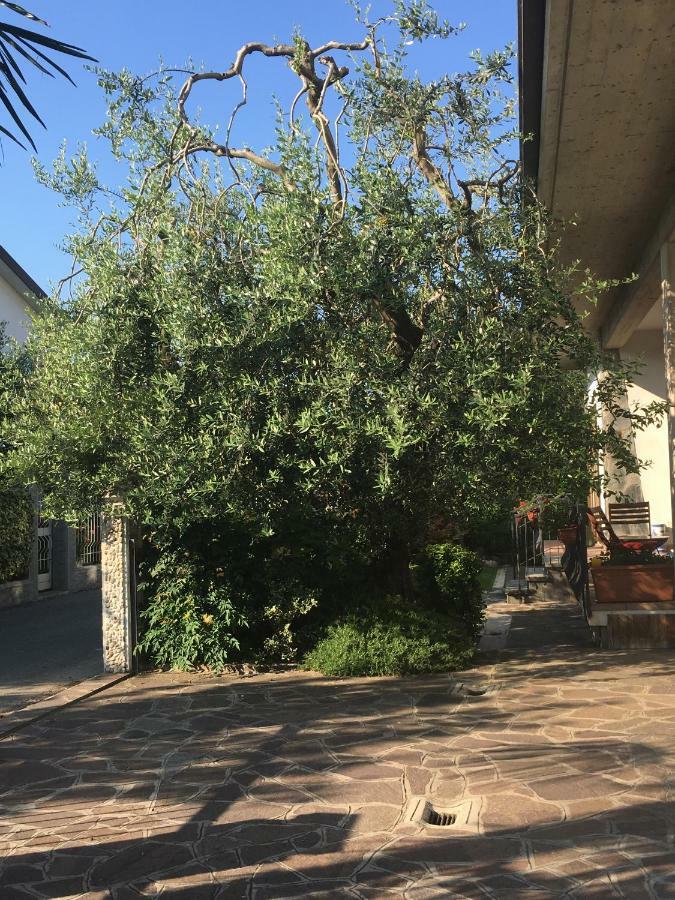 Villa Celeste'S House Rivoltella del Garda Exterior foto